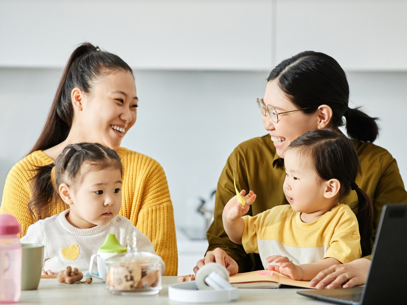 Introduction to Embryo Transfer